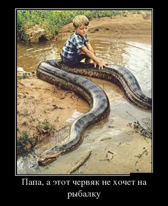 ������������ �������� (30 ��������)