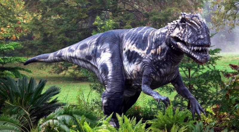 10 ������������ ����������� �������, � ������� ��� ����� (10 ����)