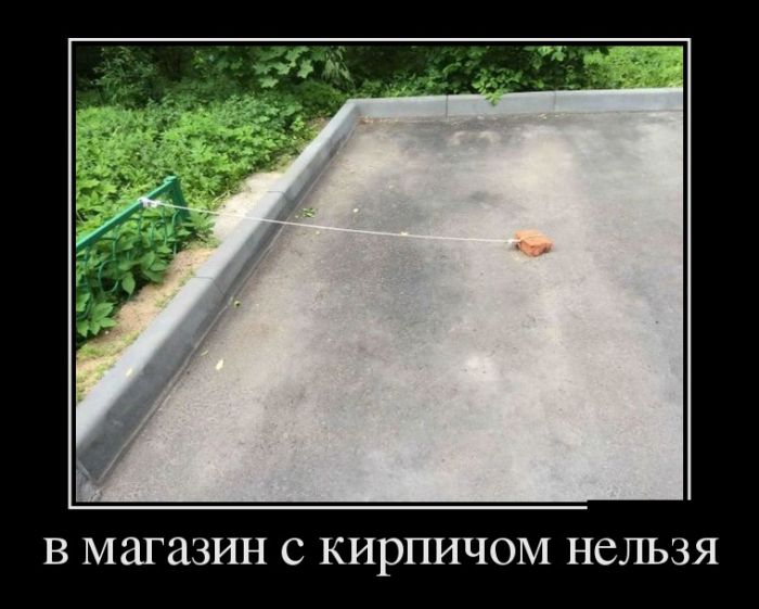 ������������ ������� (30 ��������)