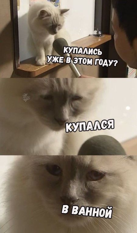���������� �������� ������� (18 ��������)