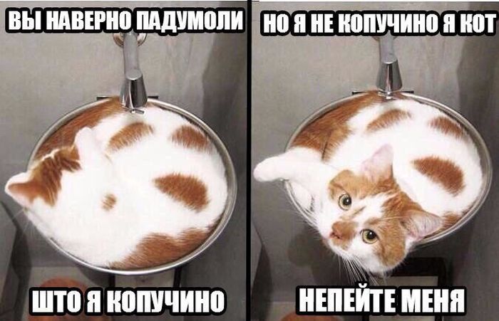 ���������� �������� ������� (18 ��������)
