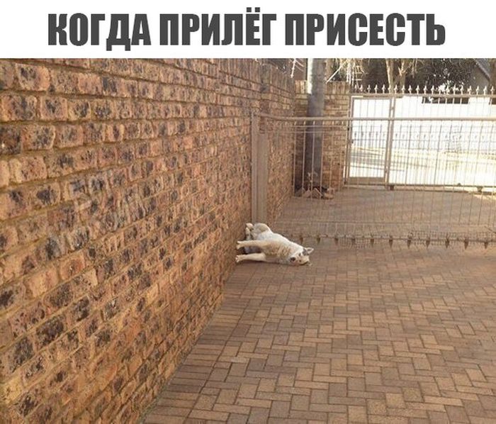 ���������� �������� ������� (18 ��������)