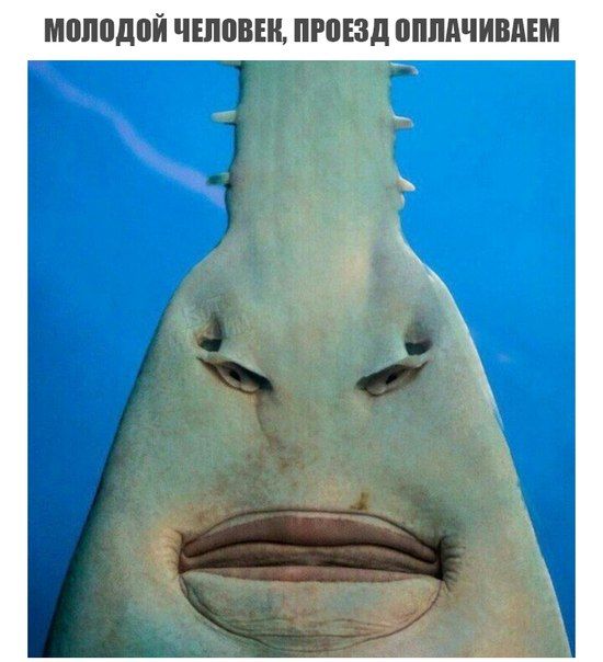 ���������� �������� ������� (18 ��������)