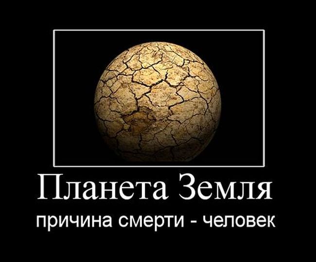 Демотиваторы среды (30 картинок)