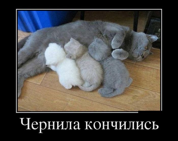 Демотиваторы среды (30 картинок)