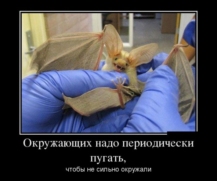 Демотиваторы среды (30 картинок)