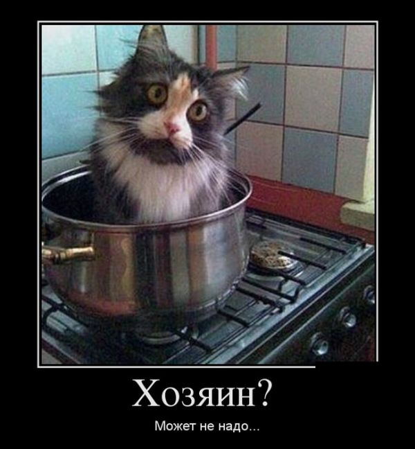 Демотиваторы среды (30 картинок)