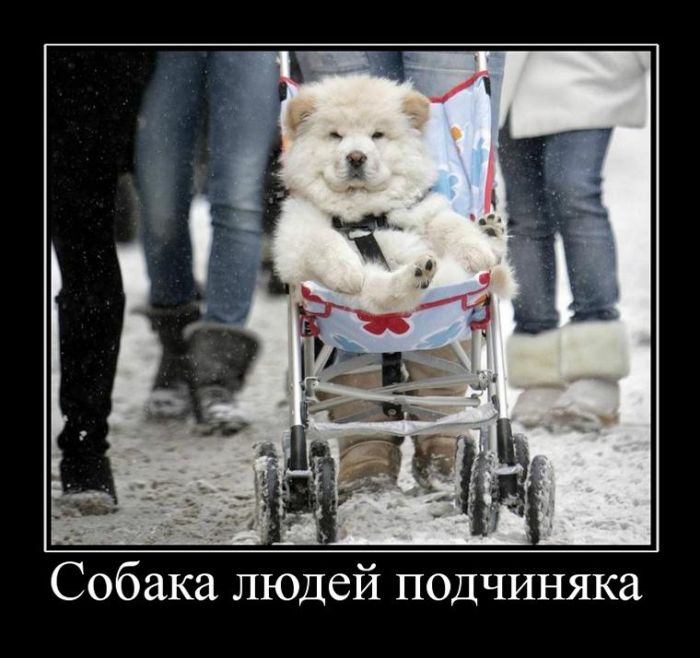Демотиваторы среды (30 картинок)