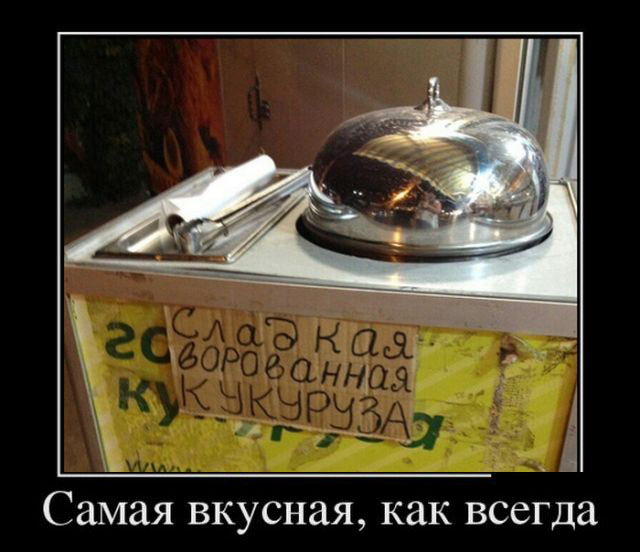 Демотиваторы вторника (30 картинок)