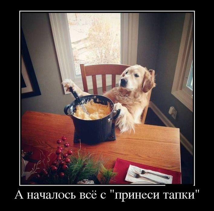Демотиваторы вторника (30 картинок)