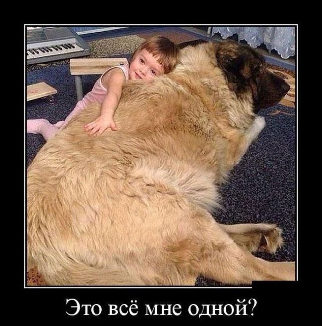 Демотиваторы вторника (30 картинок)