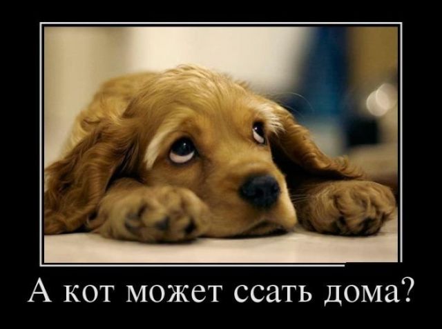 Демотиваторы вторника (30 картинок)