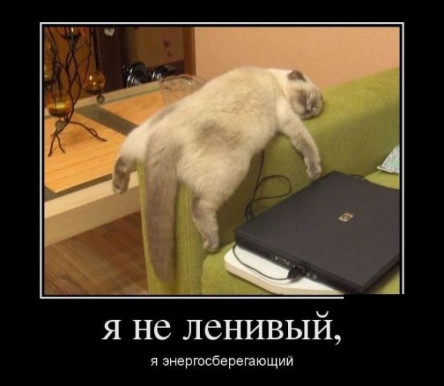 Демотиваторы вторника (30 картинок)
