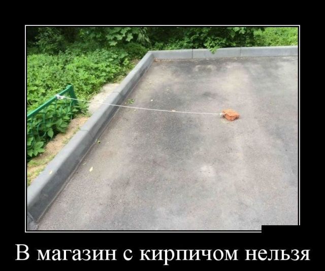 Демотиваторы вторника (30 картинок)