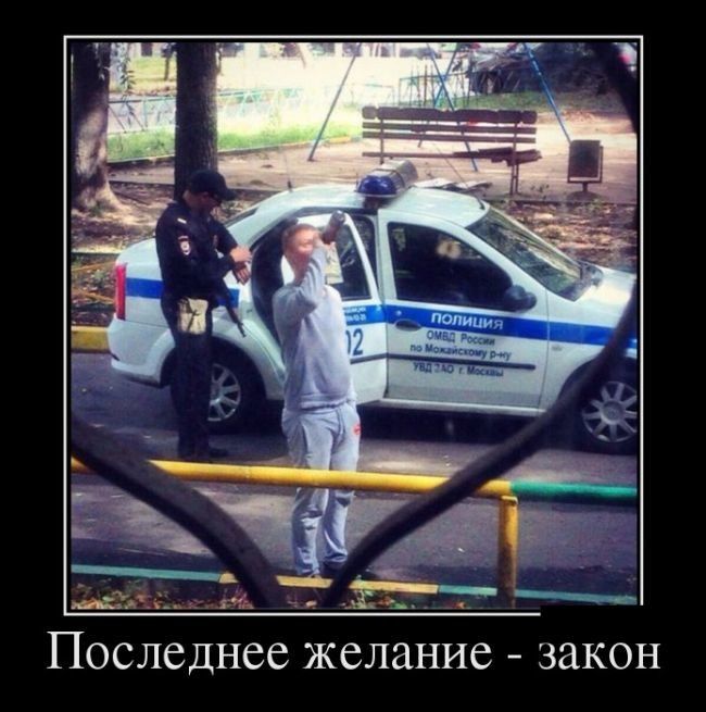 Демотиваторы вторника (30 картинок)