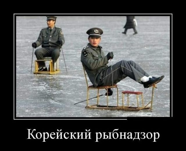 Демотиваторы вторника (30 картинок)