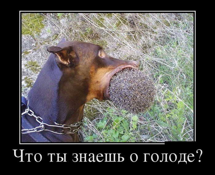 Демотиваторы среды (30 картинок)