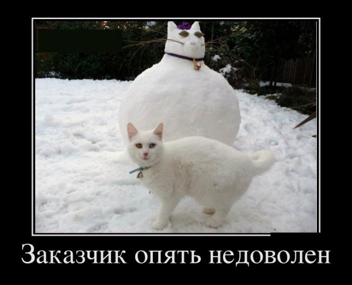 Демотиваторы среды (30 картинок)