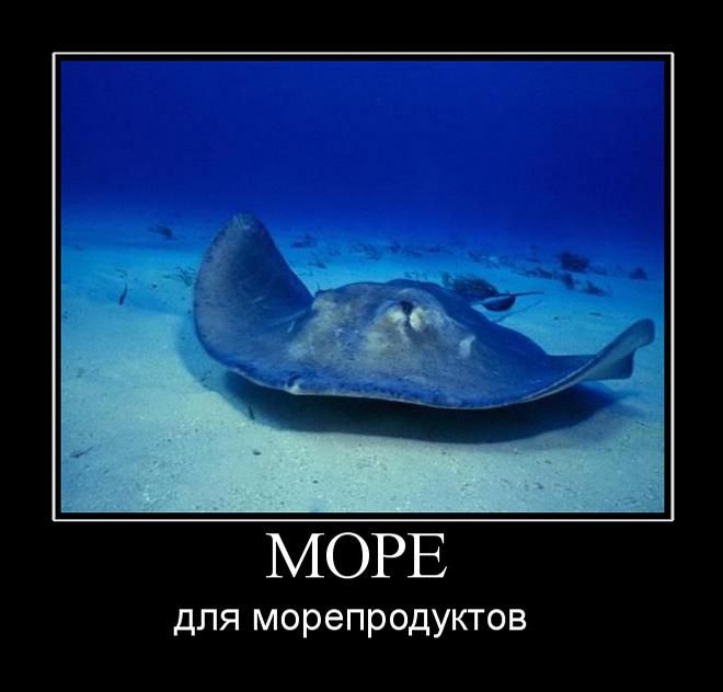 Демотиваторы среды (30 картинок)