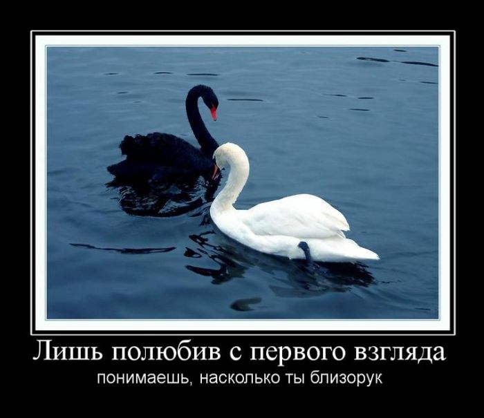 Демотиваторы среды (30 картинок)