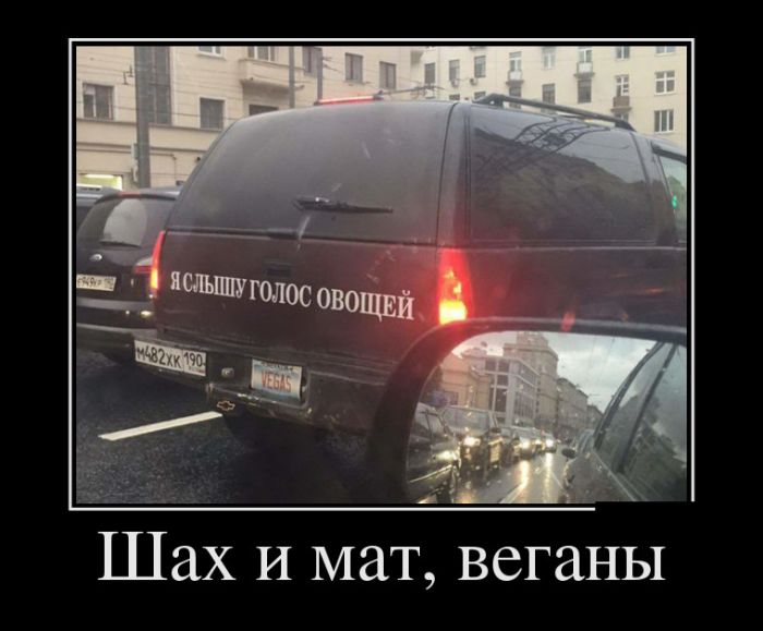 Демотиваторы среды (30 картинок)