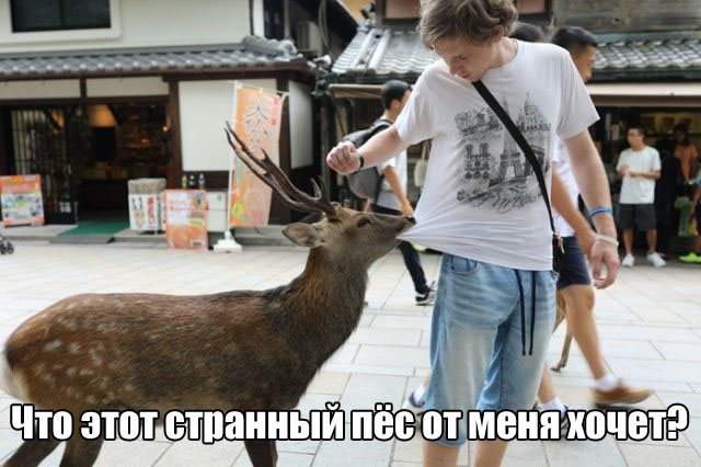Прикольные картинки понедельника (25 картинки)