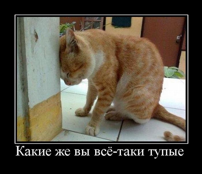 Демотиваторы понедельника (30 картинок)