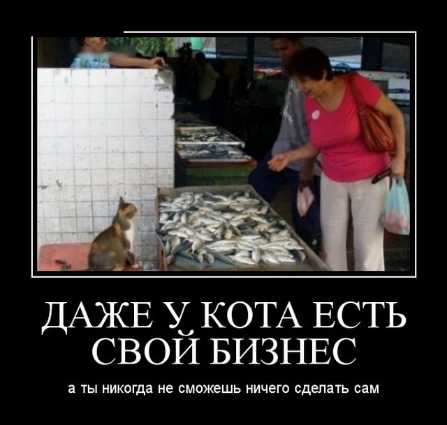 Демотиваторы понедельника (30 картинок)