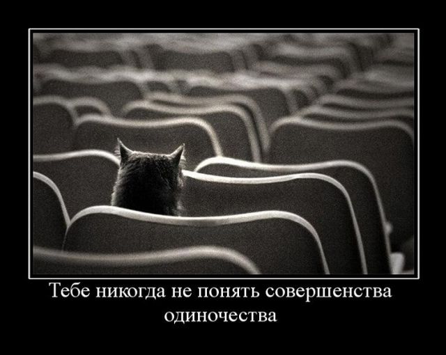 Демотиваторы понедельника (30 картинок)