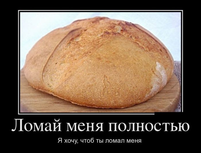 Демотиваторы понедельника (30 картинок)