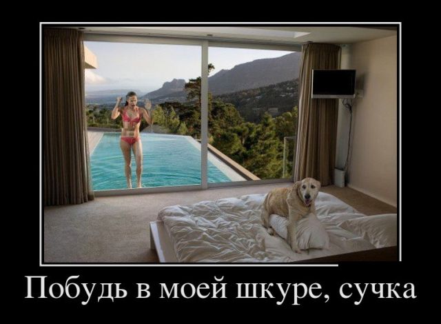 Демотиваторы понедельника (30 картинок)
