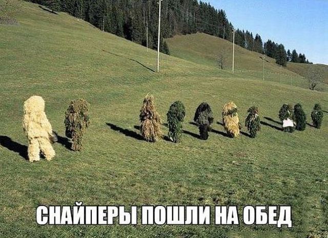 ���������� �������� �������� (18 ��������)