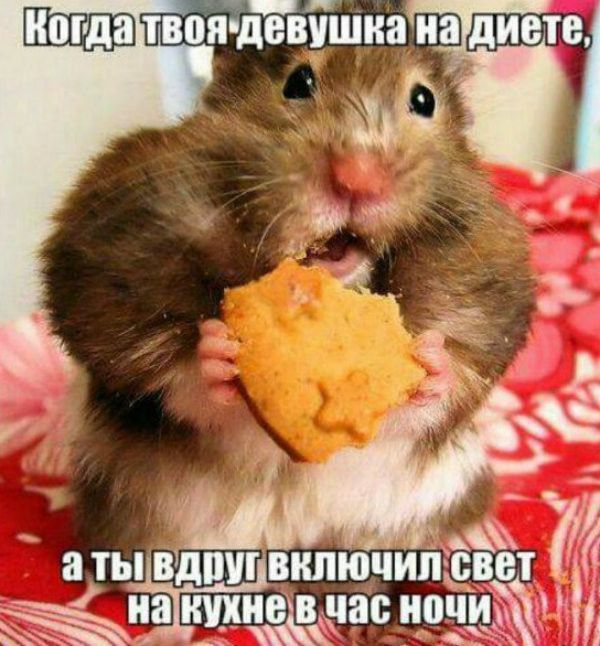 ���������� �������� �������� (18 ��������)