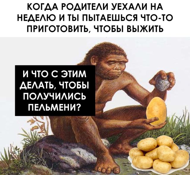 Прикольные картинки четверга (18 фото)