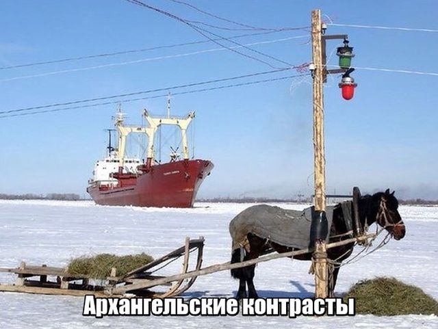 Прикольные картинки понедельника (22 фото)