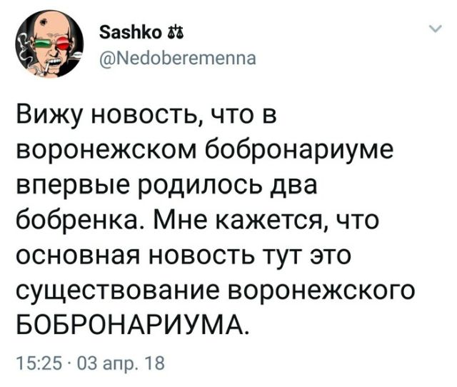 Прикольные картинки понедельника (22 фото)