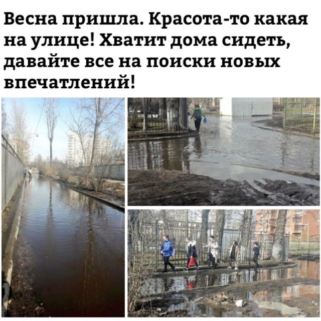Прикольные картинки среды (23 фото)