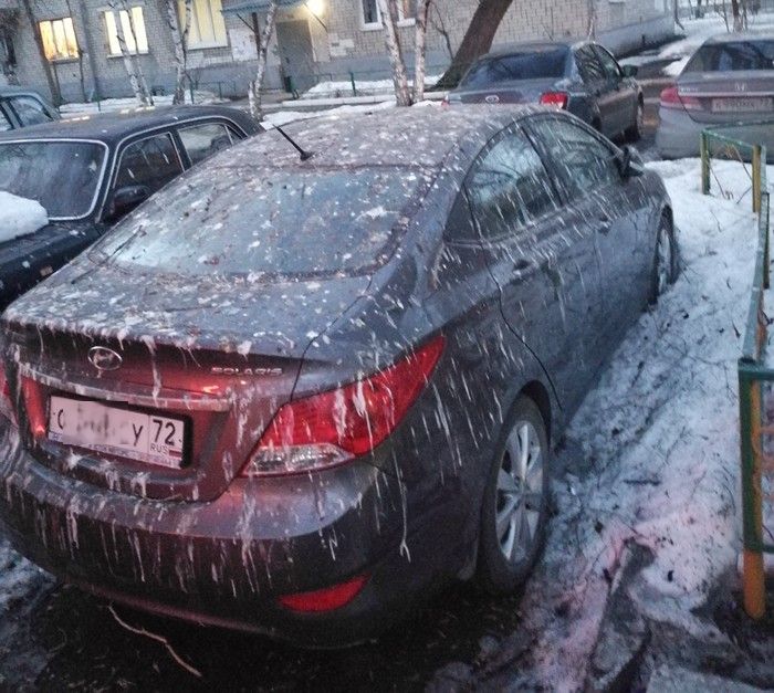 Прикольные картинки среды (23 фото)
