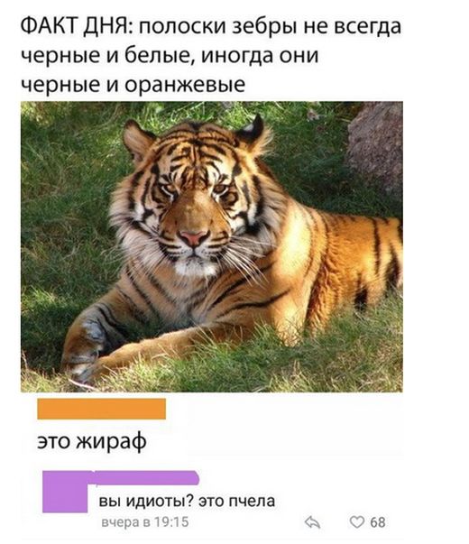 Прикольные картинки среды (23 фото)
