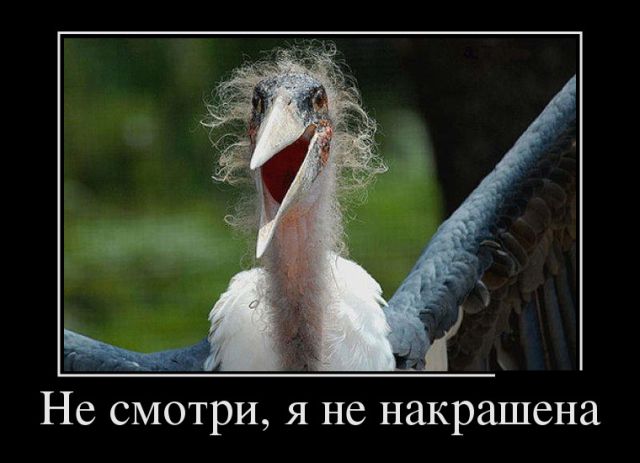 ������������ ����� (30 ��������)