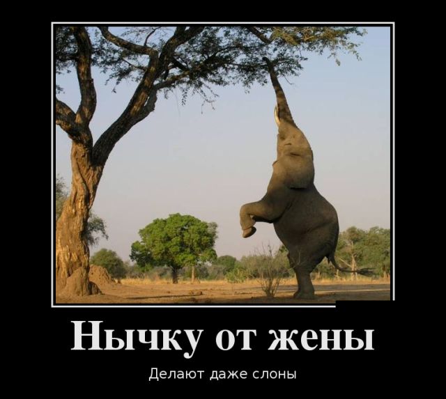 ������������ ����� (30 ��������)
