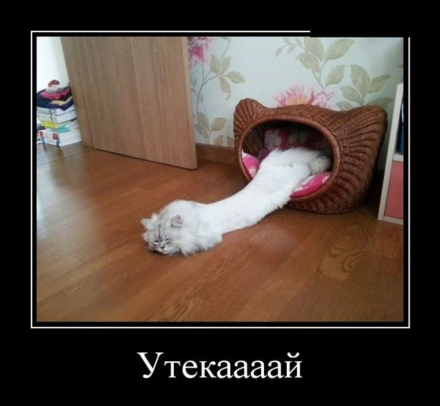 Демотиваторы пятницы (30 картинок)