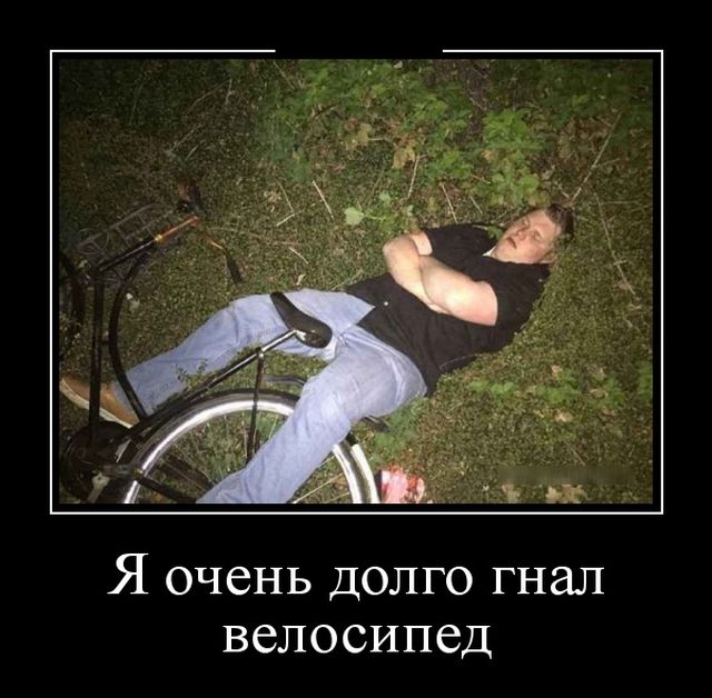 Демотиваторы пятницы (30 картинок)