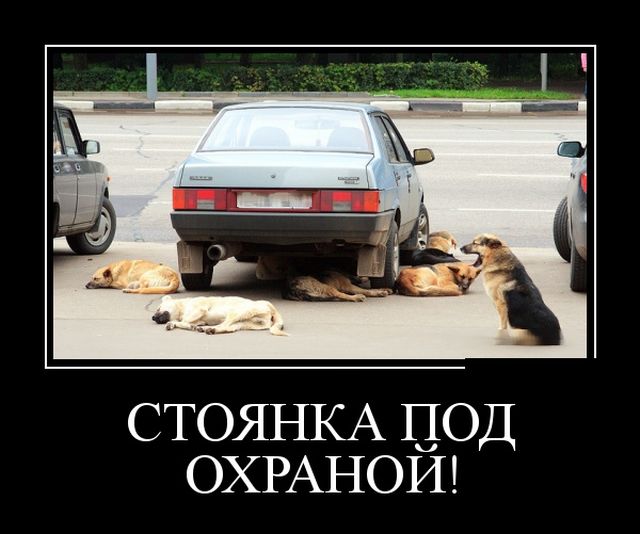 Демотиваторы пятницы (30 картинок)