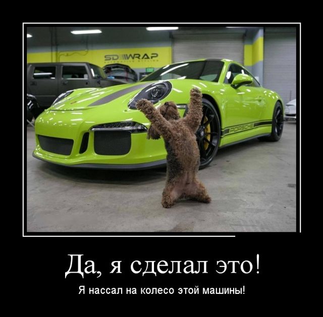Демотиваторы пятницы (30 картинок)