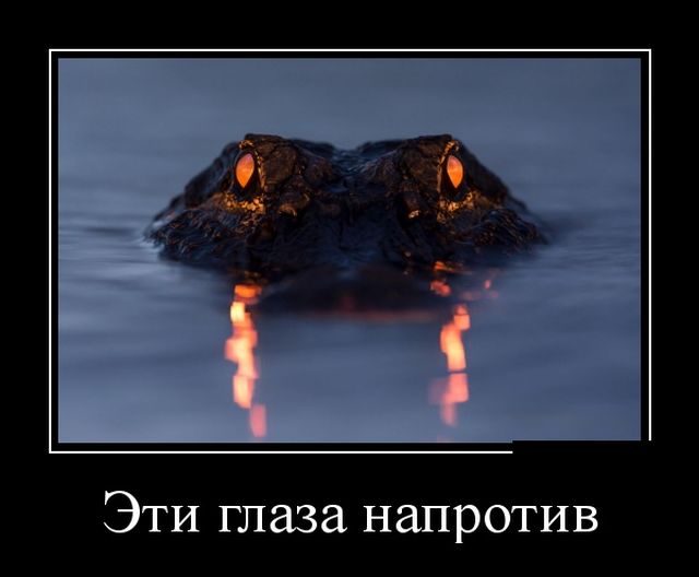 Демотиваторы пятницы (30 картинок)