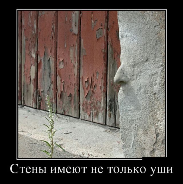 Демотиваторы пятницы (30 картинок)