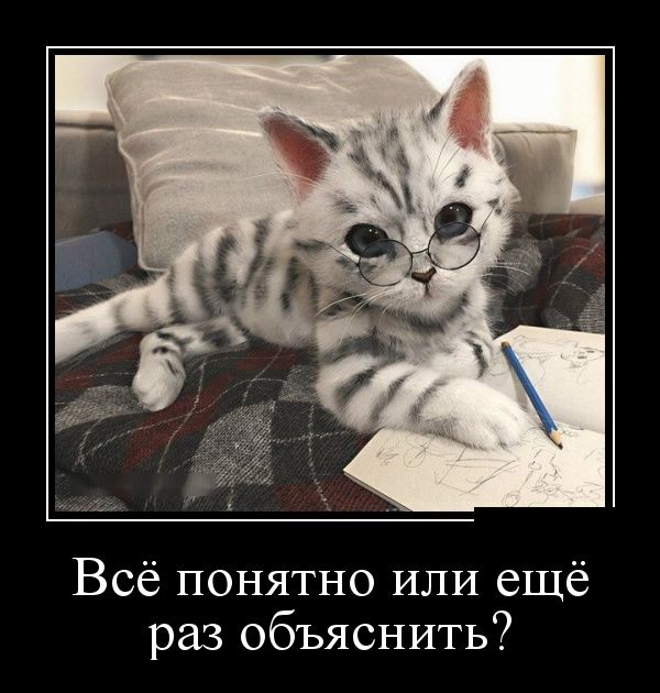 Демотиваторы пятницы (30 картинок)
