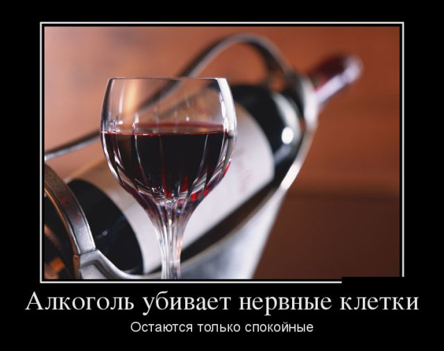 Демотиваторы пятницы (30 картинок)
