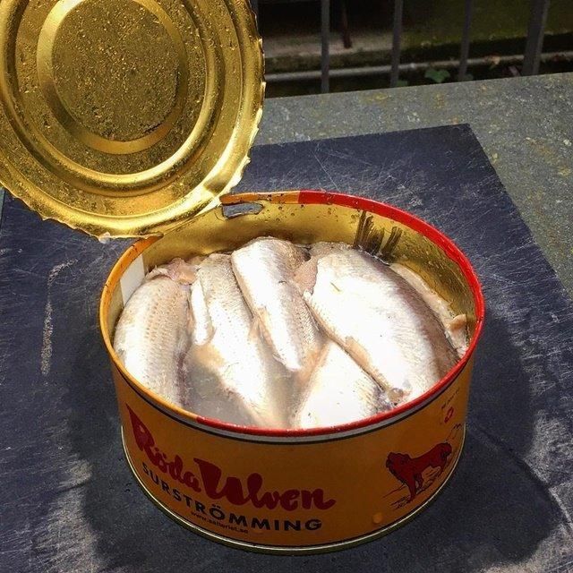  ,      (19 )